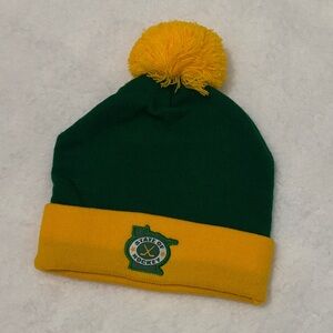 Minnesota Wild Green and Yellow stocking hat Pom-Pom Beanie